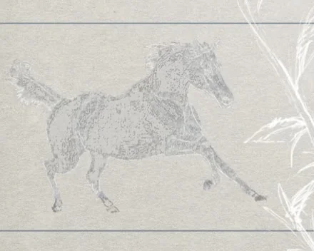 Horse of Spirit 1
